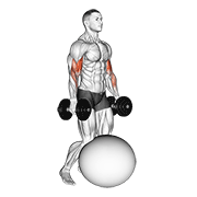 نمایش حرکت dumbbell kneeling bicep curl exercise ball