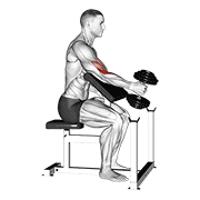 نمایش حرکت dumbbell one arm hammer preacher curl