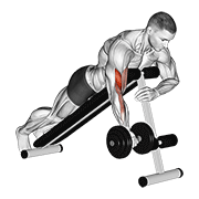 نمایش حرکت dumbbell one arm prone curl