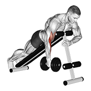 نمایش حرکت dumbbell one arm prone hammer curl