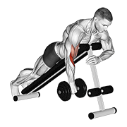 نمایش حرکت dumbbell one arm reverse spider curl