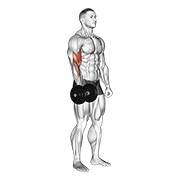 نمایش حرکت dumbbell one arm standing curl