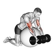 نمایش حرکت dumbbell preacher curl over exercise ball