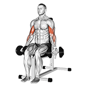 نمایش حرکت dumbbell seated bicep curl
