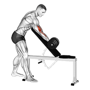 نیشاندانی dumbbell standing one arm curl over incline bench