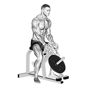 نمایش حرکت lever gripper hands