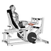 نمایش حرکت lever calf press