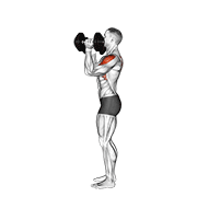 نیشاندانی dumbbell scott press