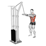 نمایش حرکت cable thibaudeau kayak row
