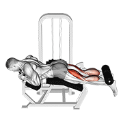 نمایش حرکت lever lying two-one leg curl