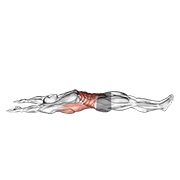 نمایش حرکت arms overhead full sit-up (male)
