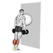 نمایش حرکت exercise ball on the wall calf raise (tennis ball between ankles)